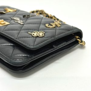 Chanel Wallet On Chain Shoulder Bag