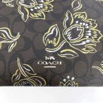 Coach Signature