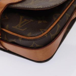 Louis Vuitton Cartouchiere