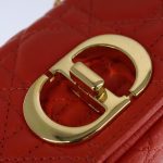 Dior Shoulder Bag