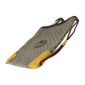 Gucci GG canvas