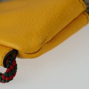 Gucci GG canvas