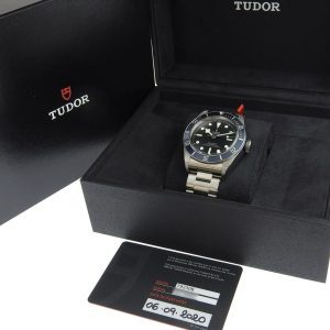 Tudor Black Bay