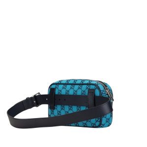 Gucci GG canvas