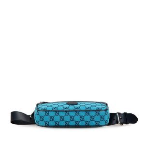 Gucci GG canvas