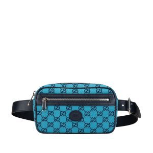 Gucci GG canvas