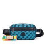 Gucci GG canvas