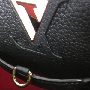 Louis Vuitton Capucines Handbag