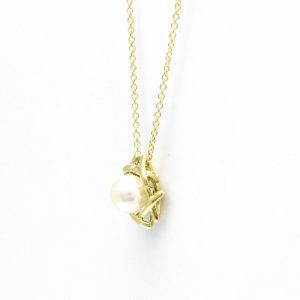 Tiffany & Co Necklace