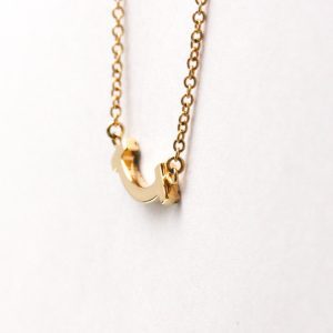 Tiffany & Co T Smile Necklace