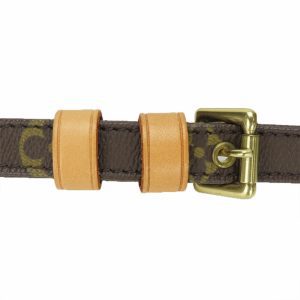 Louis Vuitton Bandoulière de Sac