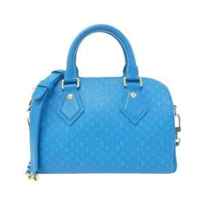 Louis Vuitton Travel Bag