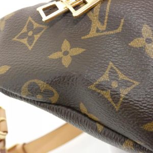 Louis Vuitton Bum Bag