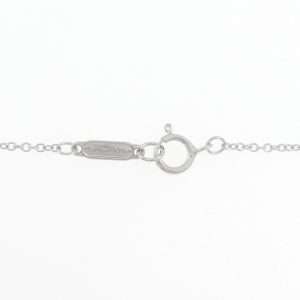 Tiffany & Co Atlas Necklace