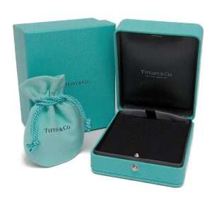 Tiffany & Co Platinum Necklace