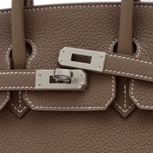Hermes Birkin 25 Bag Handbag 4