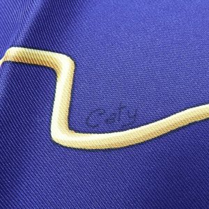 Hermes Carre 90 Scarf 7