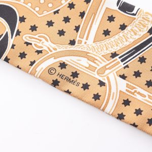 Hermes Twilly Scarf 3