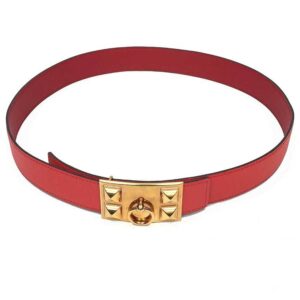 Hermès Collier de chien Accessory
