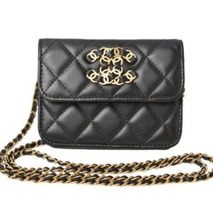Chanel Wallet On Chain Clutch Bag