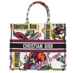 Dior Book Tote Bag