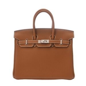 Hermès Birkin 25 Handbag