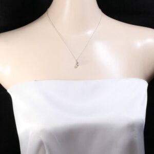 Tiffany & Co Larme Necklace